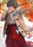  absurdres autumn autumn_leaves bangs between_fingers black_hair blush brown_eyes cellphone closed_mouth coat cowboy_shot duffel_coat falling_leaves fur_collar fur_trim grey_coat hakama highres holding holding_phone hoojiro japanese_clothes kimono leaf long_hair long_sleeves maple_leaf miko ofuda original phone red_hakama short_hair smartphone solo standing talisman talking_on_phone tree under_tree white_background white_kimono 