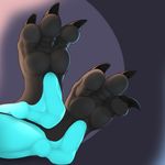  2017 3_toes 3dinoz anthro black_skin blue_skin claws dragon faceless_ambiguous foot_focus foot_shot glowing_skin multicolored_skin plantigrade scalie simple_background solo toe_claws toes two_tone_skin 