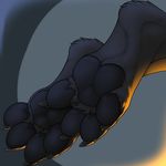  2017 3dinoz 4_toes anthro black_fur canine digitigrade faceless_ambiguous foot_focus foot_shot fur mammal pawpads paws simple_background solo toes wolf 