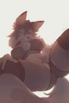  2017 anthro blue_eyes clothing einshelm female looking_at_viewer lycanroc midday_lycanroc nintendo panties plump_labia pok&eacute;mon pok&eacute;mon_(species) pussy solo underwear video_games white_backround 
