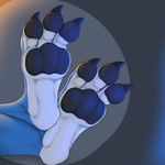  2017 3_toes 3dinoz anthro blue_fur claws digitigrade dragon faceless_ambiguous foot_claws foot_focus foot_shot fur grey_background multicolored_fur pawpads paws sharp_claws simple_background solo toes two_tone_fur white_fur 