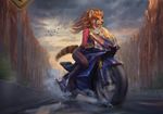  anthro avian bird black_nose blue_eyes canyon clothed clothing cloud digitigrade female hair latex_(artist) long_hair mammal motorcycle outside red_panda riding road road_sign sign sky solo street_sign vehicle water wheel 