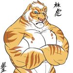  2017 anthro feline fur lin_hu male mammal nekojishi tagme tiger 