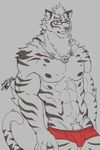  2017 anthro feline fur lin_hu male mammal nekojishi tagme tiger 