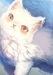  animal_focus cat closed_mouth eyes fur looking_at_viewer manino_(mofuritaionaka) multicolored multicolored_eyes no_humans original signature solo white_cat white_fur 