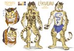  2017 abs anthro clothed clothing clouded_leopard collar feline fonyaa fur hoodie likulau male mammal muscular nekojishi nipples pecs simple_background spots tattoo 