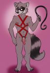  bdsm claws dante_(raccoon) domination harness horny_(disambiguation) ickypossum_(artist) lust male mammal master nipples nude paws penis procyonid raccoon simple_background smile smirk solo whip 