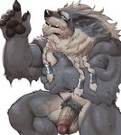  2017 5_fingers adios anthro balls biceps big_biceps big_hands blue_eyes brown_claws brown_nose brown_pawpads canine claws ear_piercing front_view fur fur_tuft genn_greymane grey_balls grey_fur grey_penis hand_on_chest hi_res humanoid_hands humanoid_penis kneeling looking_at_viewer male mammal muscular muscular_legs muscular_male navel nude partially_retracted_foreskin pawpads penis piercing pubes sharp_teeth simple_background solo spread_legs spreading standing teeth thick_thighs triceps tuft uncut vein veiny_penis video_games warcraft were werewolf white_background worgen 