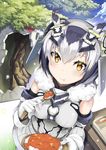  jie_laite kemono_friends northern_white-faced_owl tagme 