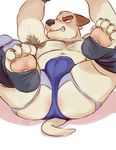  2016 anthro armpit_hair barazoku black_nose blush bulge butt canine chad_(gtb) clothed clothing digital_drawing_(artwork) digital_media_(artwork) dog front_view glitter_trap_boy gloves hairy hi_res jockstrap legs_up looking_away lying male mammal moobs musclegut navel nipples on_back overweight pawpads signature simple_background snarling solo spread_legs spreading straining sweat toe_curl topless underwear white_background wrestling 