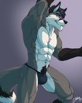  2017 5_fingers abs anthro black_nose blue_hair bulge canine clothed clothing eyewear feralise fox fur glasses gloves_(marking) grey_background grey_fur grey_hair hair jockstrap looking_aside looking_at_viewer male mammal markings multicolored_fur multicolored_hair muscular muscular_male neck_tuft pose pubes simple_background socks_(marking) solo standing topless tuft two_tone_fur two_tone_hair underwear white_fur yellow_eyes 