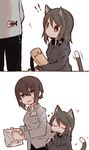  2koma :3 anger_vein angry animal_ears animal_print bag bangs black_pants blue_shirt brown_eyes brown_hair cat_ears cat_tail closed_eyes closed_mouth comic dress_shirt eyebrows_visible_through_hair fish_print fud girls_und_panzer grey_shirt highres holding holding_instrument instrument kantele kemonomimi_mode kuromorimine_school_uniform long_hair long_sleeves looking_at_another looking_back mika_(girls_und_panzer) mouth_hold nishizumi_maho open_mouth pants school_uniform shirt short_hair sparkle squatting standing tail tail_wagging white_background 