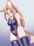 1girl artist_request blue_eyes brown_hair cat furry long_hair school_swimsuit smile solo stocking 