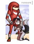  anthro breasts cum cum_on_face fellatio female kneeling knuckles_the_echidna lupe_the_wolf luraiokun male mammal oral penis sex sonic_(series) sonic_boom submissive_female 