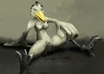  2017 4_toes anthro avian beak bird black_legs breasts digital_media_(artwork) ejaculation feathers female fingering grey_feathers laen_patisson looking_at_viewer nude orgasm platisson pose presenting pussy pussy_ejaculation pussy_juice shoebill simple_background spread_legs spreading toes wings yellow_beak 