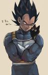  animal armor black_eyes black_hair cat crossed_arms dragon_ball dragon_ball_z frown grey_background looking_at_another male_focus mkmksan serious simple_background spiked_hair tama_(dragon_ball) translated vegeta 
