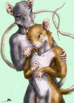  love male mammal mouse nude piercing rat rodent romantic tails_(disambiguation) whimsicalsquirrel 
