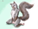  animal_genitalia anthro fully_sheathed girly kneeling male mammal nude pinup pose rodent sheath simple_background solo squirrel whimsicalsquirrel 