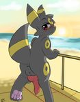  2017 animal_genitalia animal_penis anus blush canine_penis eeveelution erection knot looking_back male nintendo outside penis pok&eacute;mon pok&eacute;mon_(species) raised_tail rockii solo umbreon video_games 