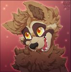  2017 black_nose brown_fur bushy fur hair male mammal procyonid raccoon ryai_(character) smile solo teeth tuft xnirox yellow_eyes 