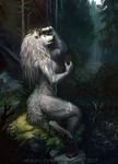  amazing_background anthro berry breasts canine claws crown detailed_background featureless_breasts female flower_crown food forest fruit fur gloomy grass mammal nude pawpads paws peaceful tree were werewolf whiluna white_fur wolf 