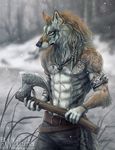  anthro armlet axe battle_axe belt bracelet braided_hair brown_fur canine claws clothed clothing fur grey_fur hair jewelry male mammal melee_weapon necklace pants scar snow tattoo topless viking weapon whiluna wolf 