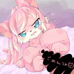  artist_request bestiality blue_eyes cat cat_busters censored furry penis pink_hair pussy sex two-tone_hair white_hair 