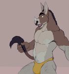  2017 anthro bulge clothed clothing digital_media_(artwork) donkey equine fur hair hi_res koorivlf magic male mammal muscular muscular_male open_mouth rhinoceros rienn sitting solo speedo swimsuit topless transformation yellow_clothing 