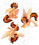  2017 blue_eyes brown_hair cutie_mark digital_media_(artwork) equine fan_character feathered_wings feathers feral hair hooves mammal my_little_pony pegasus solo tomatocoup wings 