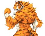  2017 abs anthro biceps big_muscles captainjohkid claws feline flakjacket0204 fur hi_res male mammal muscular simple_background solo tiger 