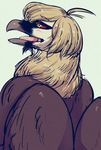  ambiguous_gender avian bearded_vulture bird bubonikku semi-anthro solo vulture 