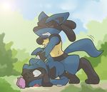  emerald_physics lucario pokemon riolu tagme 