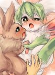  eevee hatsuga pokemon shaymin tagme 