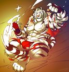  2016 abs anthro biceps clothed clothing feline fur male mammal muscular muscular_male nipples stripes super-tuler tiger underwear white_fur white_tiger 