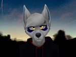  2017 aira an_ancient anthro canine clothed clothing cloud dog female fur headshot hoodie husky legwear looking_at_viewer mammal outside socks solo sunset tree white_fur wolf yellow_eyes 