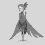  1girl crowanon dress feathered_wings female harpy monster_girl original smile solo standing wings 
