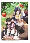  arm_up black_hair blush braid brown_eyes detached_sleeves dress food from_above fruit grey_dress hair_ornament highres kuon_(utawareru_mono) long_hair multiple_girls nakata_masahiko obi open_mouth outdoors page_number ponytail ribbon-trimmed_sleeves ribbon_trim rurutie_(utawareru_mono) sash sidelocks utawareru_mono utawareru_mono:_itsuwari_no_kamen very_long_hair 