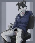  2017 5_fingers anthro black_nose canine chair clothed clothing dog female fingerpads flopped_ears fur grey_background grey_fur grey_hair hair hoodie mammal marjani masturbation multicolored_fur pants pants_down partially_clothed pubes simple_background sitting solo tongue tongue_out trouserless two_tone_fur vaginal vaginal_masturbation white_fur 