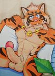  bed book feline hokshi jewelry lin_hu male mammal necklace nekojishi penis pillow scar tiger 