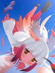  :o bangs bird black_footwear blue_sky blunt_bangs blurry blush commentary crested_ibis day depth_of_field eyebrows_visible_through_hair feathers flying full_body fur_collar gloves gradient_hair head_wings highres japanese_crested_ibis japanese_crested_ibis_(kemono_friends) kemono_friends long_sleeves looking_at_viewer makuran multicolored_hair pantyhose pleated_skirt pleated_sleeves red_gloves red_hair red_legwear red_skirt skirt sky solo tail_feathers upside-down white_hair yellow_eyes 