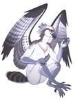  anthro avian beak bird feathers male osprey ozawk shesterrni solo 