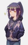  1girl akari_(raigou) blue_hair borrowed_character cat female gino hands_in_pockets hood hoodie lightning original smile solo 