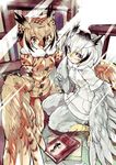  alternate_species animal_humanoid anthro anthrofied avian avian_humanoid beak bird black_hair book brown_eyes brown_hair clothed clothing duo eurasian_eagle_owl_(kemono_friends) feathered_wings feathers female grey_hair hair head_wings humanoid jacket kemono_friends multicolored_hair northern_white-faced_owl_(kemono_friends) owl short_hair sigmarion sitting talons winged_arms winged_humanoid wings 