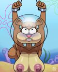 4:5 anthro arms_tied avioylin big_breasts bound breasts buckteeth cuffs_(clothing) cum_dumpster detailed_background female mammal nickelodeon nipples nude raised_arms rodent sandy_cheeks sciurid sea solo spongebob_squarepants teeth tree_squirrel underwater water