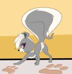 2023 anus ass_up blush body_blush butt female feral fur genitals grey_body grey_fur hair hasbro hi_res littlest_pet_shop littlest_pet_shop_(2012) mammal mephitid open_mouth p.v.su pepper_clark presenting presenting_anus presenting_hindquarters presenting_pussy purple_eyes pussy pussy_blush raised_tail skunk solo tail white_hair