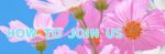  blue_sky colored_text day flower no_humans non-web_source off-topic original outdoors photo_(medium) pink_flower sky text_focus 