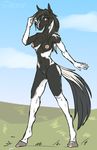  2017 anthro black_fur black_hair blue_eyes breasts cloud equine female fur grass hair horse looking_at_viewer mammal multicolored_fur multicolored_hair nipples outside pussy sky smile solo standing sunny_way two_tone_fur two_tone_hair 