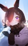  1girl alternate_costume animal_ears black_hair blurry blurry_background blush closed_mouth gloves hair_over_one_eye highres horse_ears horse_girl looking_at_viewer portrait pov pov_hands purple_eyes rice_shower_(umamusume) scarf shijima_(shizima_03) sky smile solo_focus umamusume winter_clothes 