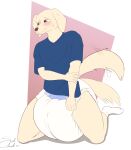 absurd_res anthro beastars big_diaper bird_dog blush bodily_fluids canid canine canis clean_diaper clothing diaper domestic_dog embarrassed extremius_amphibious hi_res hunting_dog jack_(beastars) kneeling looking_away male mammal retriever shirt shy solo sweat t-shirt tail tail_motion tailwag topwear