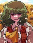  1girl ascot field flower flower_field green_hair highres kazami_yuuka looking_at_viewer open_mouth outdoors plaid plaid_vest red_eyes red_vest shirt soda_(sodaa_811) solo sunflower sunflower_field teeth touhou upper_teeth_only vest white_hair white_shirt yellow_ascot 